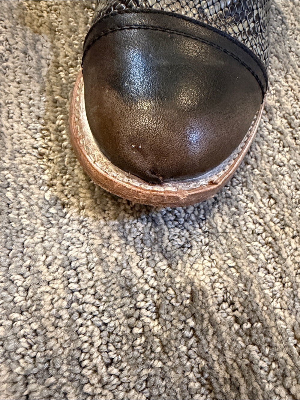 Freebird by Steven women’s Brown Leather & Snake-Print Chukka Boots - Picture 6 of 8